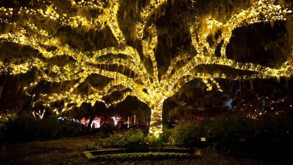 Summer Light Art by Night Comes to Brookgreen Gardens Grande Cayman